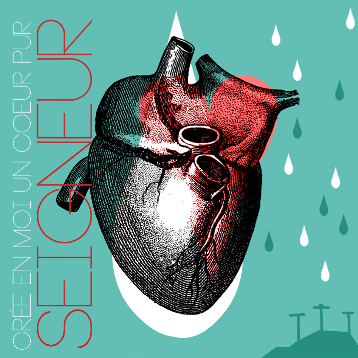 coeur-pur