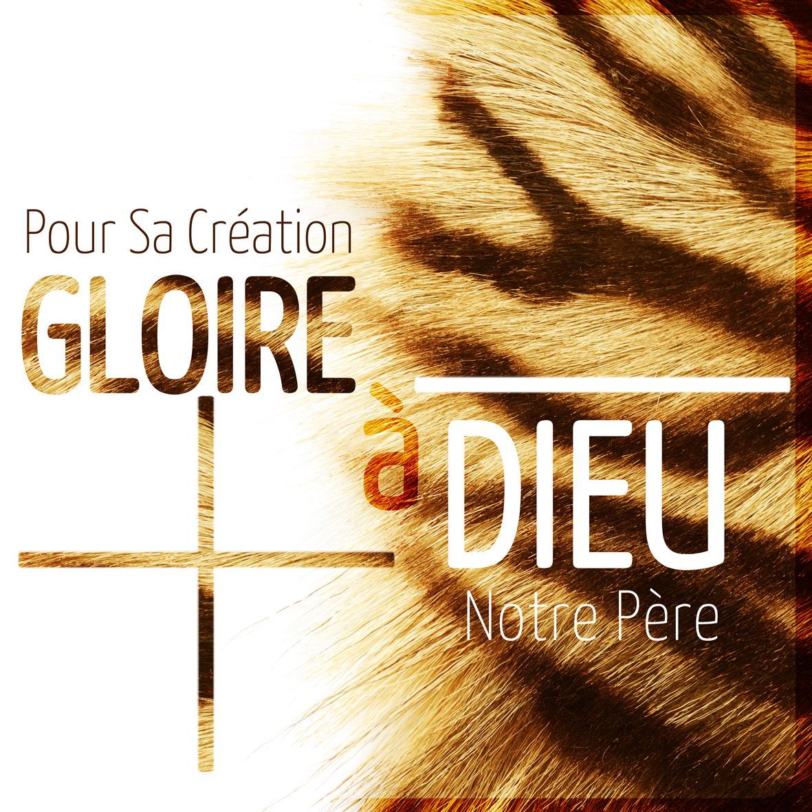 gloire-a-dieu-creation