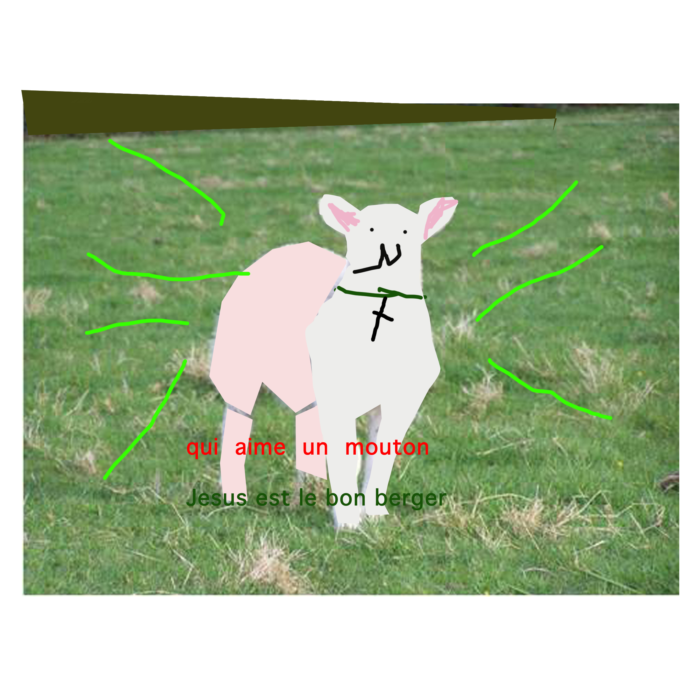 sau