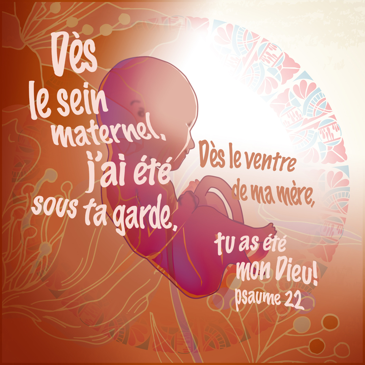 le-ventre