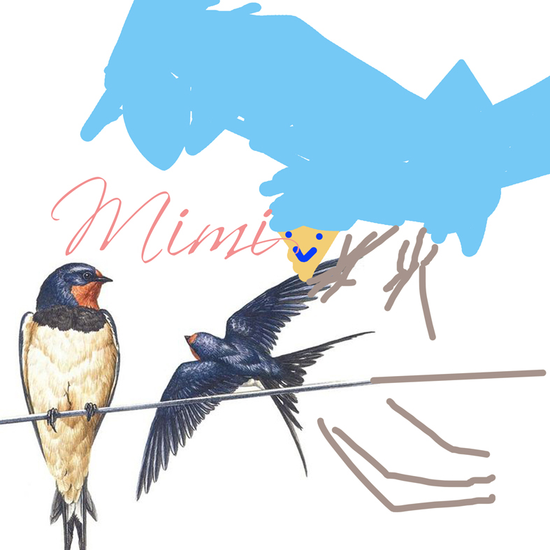 mimi