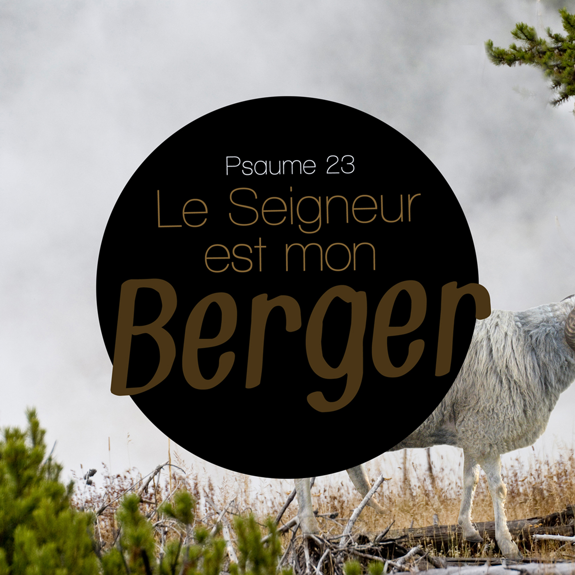 le-Seigneur-est-mon-berger