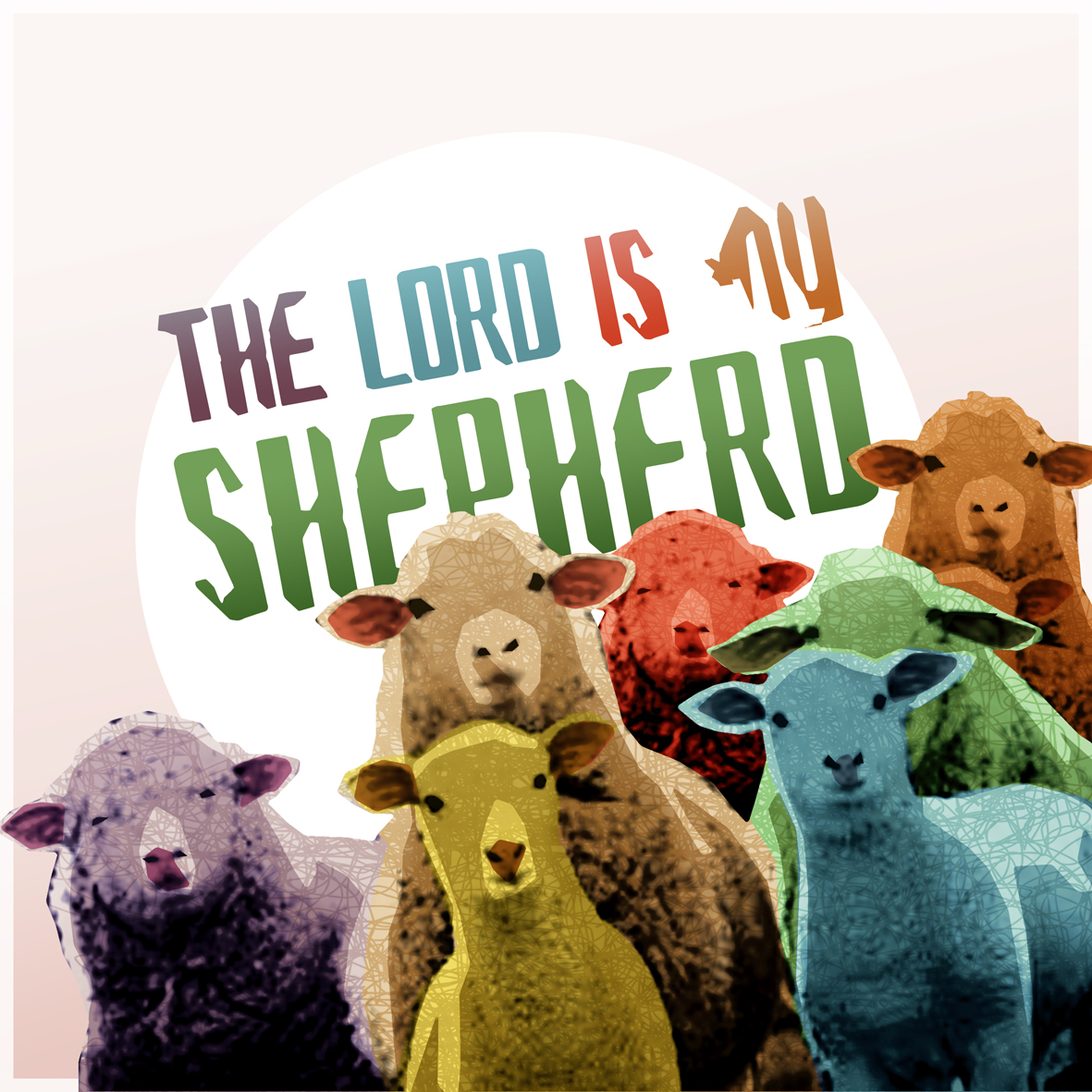 sheep