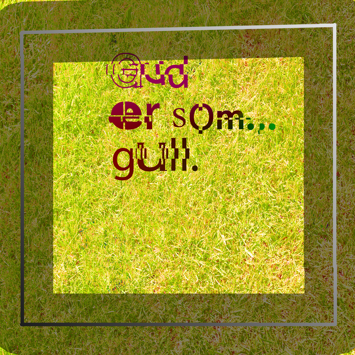 gull